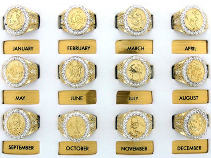 Solid Gold CZ Accented Men's Zodiac Ring (JackAni# R1928)